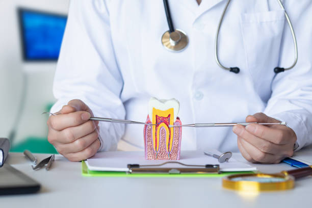 Best Orthodontic Emergency Dentist in Sweet Springs, MO